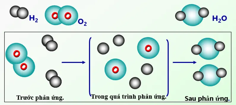 Tác dụng của NaClO + HCl trong phản ứng hóa học và ứng dụng