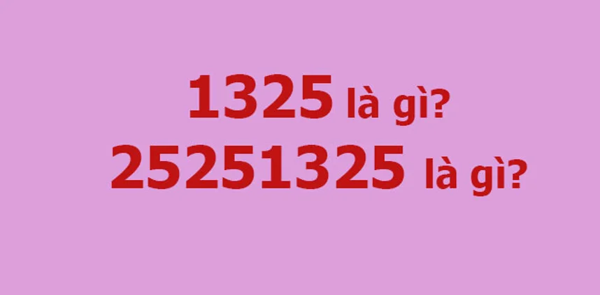 1325 là gì 25251325 là gì ý nghĩa các con số trong tiếng trung