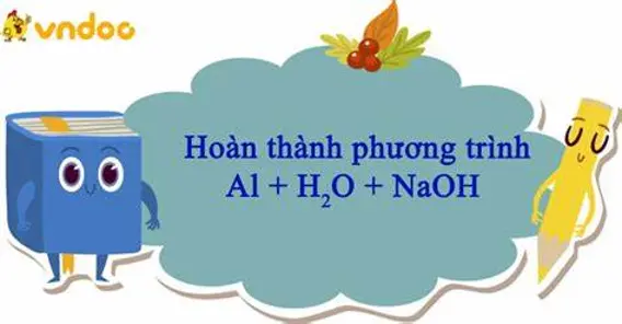 Al + H2O + NaOH → NaAlO2 + H2