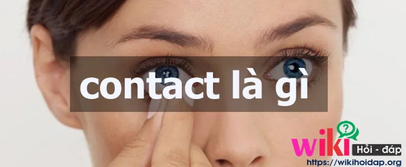 contact là gì cách sử dụng contact tại sao contact lại quan trọng