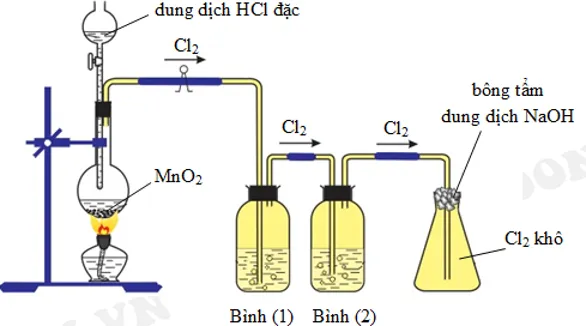 phản ứng mno2 hcl cơ chế và ứng dụng trong công nghiệp