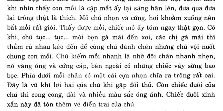 Tổng Hợp Văn Mẫu Tả Một Đồ Vật Mà Em Yêu Thích Lớp 4 Ngắn Ngọn Hay Nhất -  Cao Đẳng Nghề Việt Mỹ